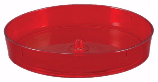 Picture of 8" Saucer - Ruby