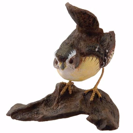 Picture of Carolina Wren Small Bird