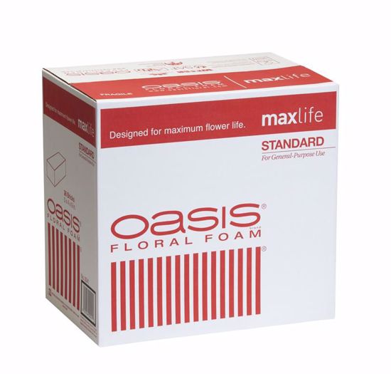 SO-0041-P - OASIS Standard (by the piece) Floral Foam Maxlife