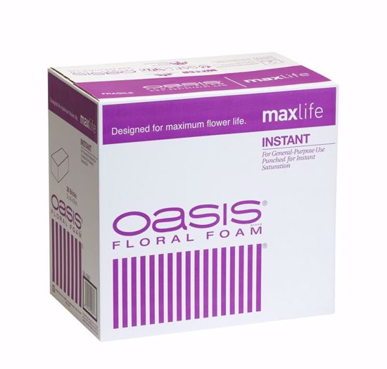 Picture of Oasis Instant Floral Foam Maxlife (36 Pack)