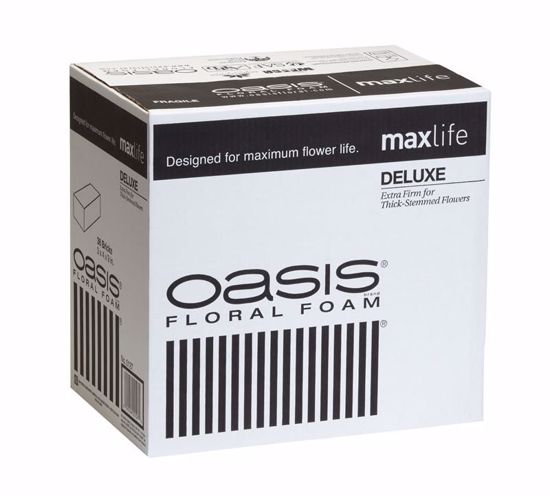 Picture of Oasis Deluxe Floral Foam Maxlife (36 Pack)