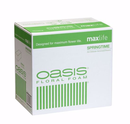 Picture of Oasis Springtime Floral Foam Maxlife (36 Pack)