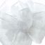 Picture of #3 Chiffon Ribbon - White