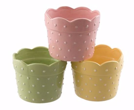 Picture of Dotted Swiss Ceramic Pot (3 Assorted Colors)X