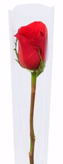 Picture of Clear Single Rose Bouquet Sleeve