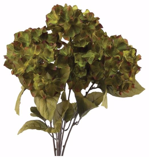 Picture of Green Hydrangea Bush (23", 5 Stems)