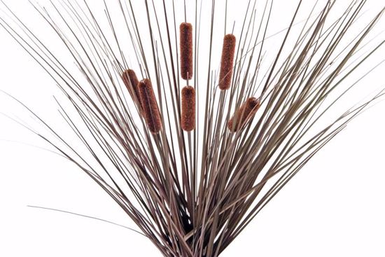 Picture of 23" Brown Cattail-Onion Grass