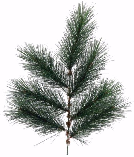 Picture of Evergreen Spray-Needle Pine (7 Stems, 19")