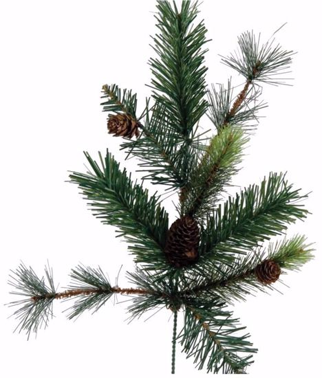 Picture of Evergreen Spray-American Fir (9 Stems, 20")