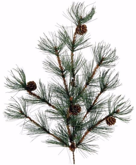 Picture of Evergreen Spray-Fir-Pine (8 Stems, 20")