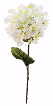 Picture of White Hydrangea Stem (28")