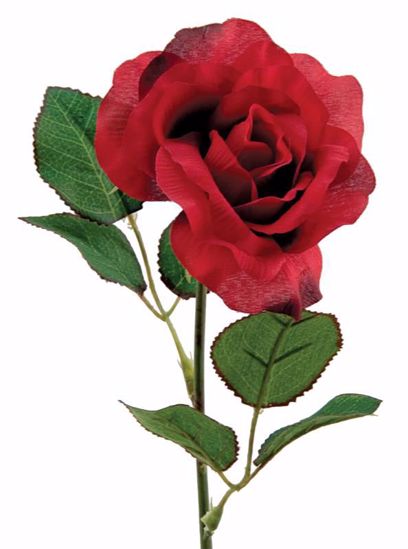Picture of 19.5" Beauty Single Rose Stem