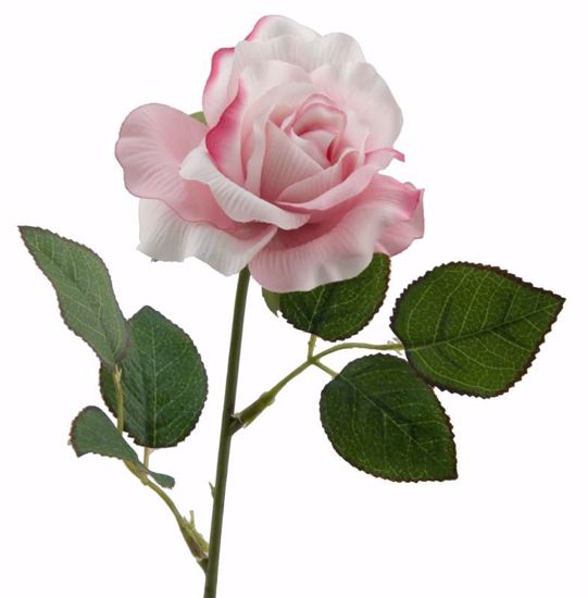 Picture of Pink Rose  Single Stem (19.5")