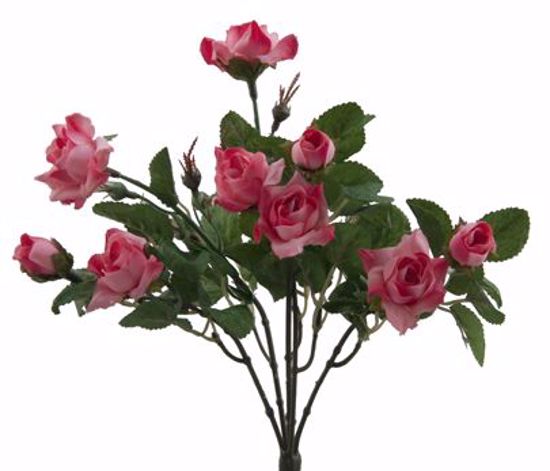Picture of Pink Mauve Wild Rose Bush (5 Stems, 12")