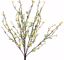 Picture of 22" Mini Blossom Bush x 9