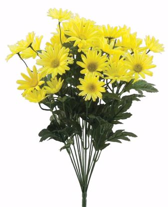 Picture of Yellow Daisy Bush (14 Stems, 20")