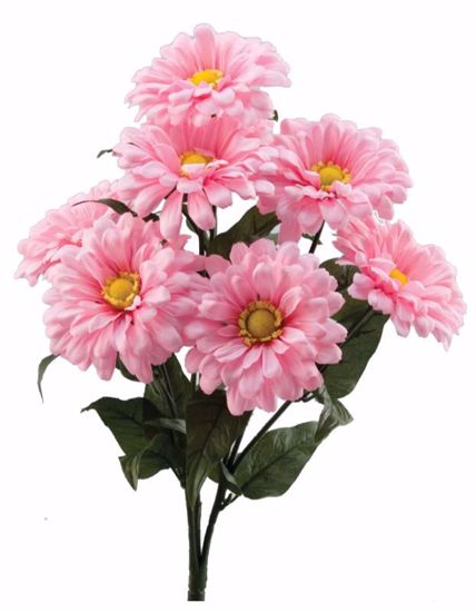Picture of 19" Solid Pink Zinnia Bush w/Leaves x 8