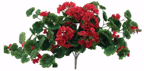 Picture of Red Geranium Bush Bush Vine (11 Stems, 17")