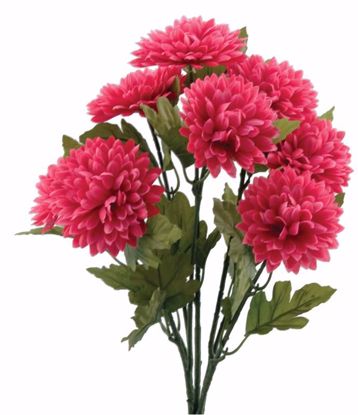 Picture of Hot Pink Mum Bush (8 Stems, 18.5")