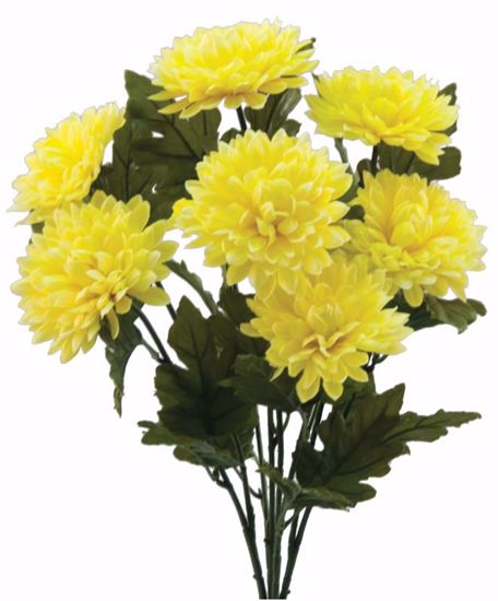 Picture of Yellow Mum Bush (8 Stems, 18.5")
