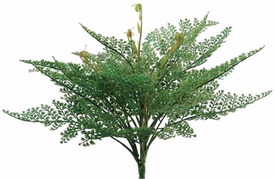Picture of 13 Inch Lace Fern Bush x 4