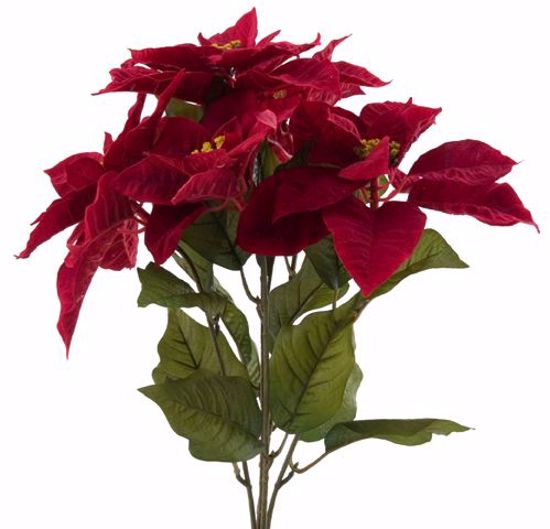 Picture of 20" Red Poinsettia Bush x 5
