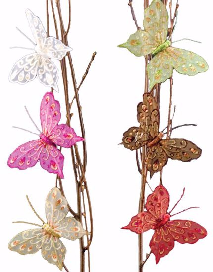Picture of Butterfly Clips (6 Assorted)