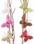 Picture of Butterfly Clips (6 Assorted)