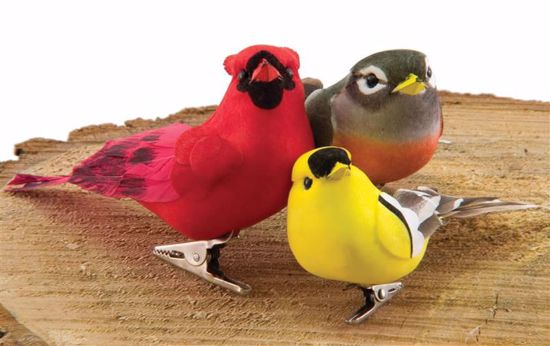 Picture of Robin, Finch, Cardinal Bird Clips (3 Assorted Birds)