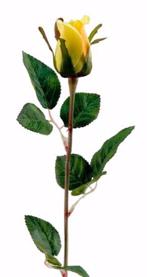 Picture of Yellow Rose Stem  (23")