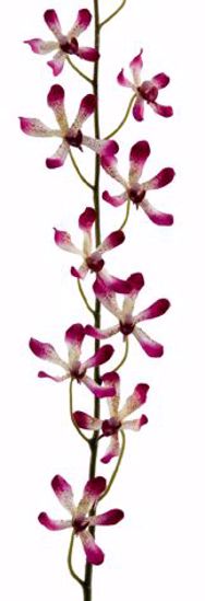 Picture of Purple New Singapore Orchid Spray (42")