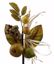 Picture of 10" Pomegranate-Berry Leaves Pick