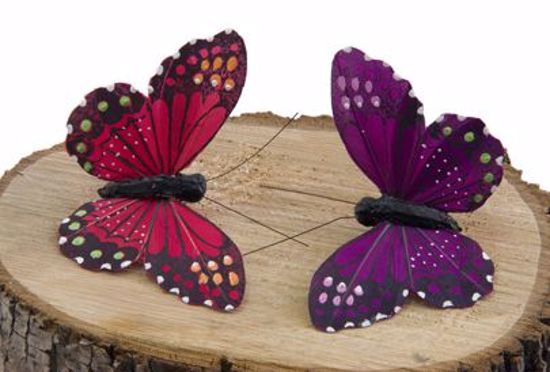 Picture of Two Assorted Red/Purple Monarch Butterflies