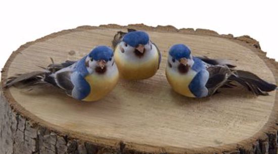 Picture of Mushroom Blue Birds with Wire (3 Assorted Birds)