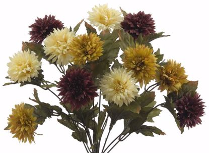 Picture of Fall Colors Needle Mum Bush (12 Stems, 17")