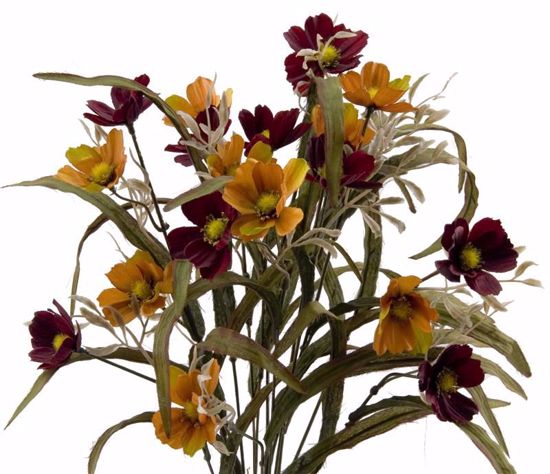 Picture of Fall Colors Mini Leaf Cosmos Bush-14 Stems, 20"
