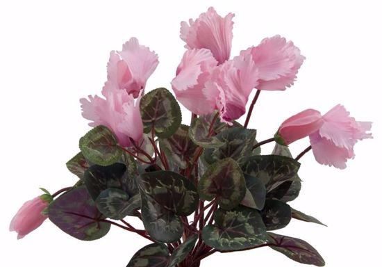 Picture of Pink Cyclamen Bush (16 Stems, 12")