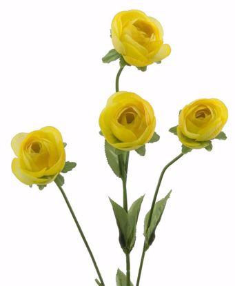 Picture of Yellow Ranunculus Stem (4 Stems, 28.5")