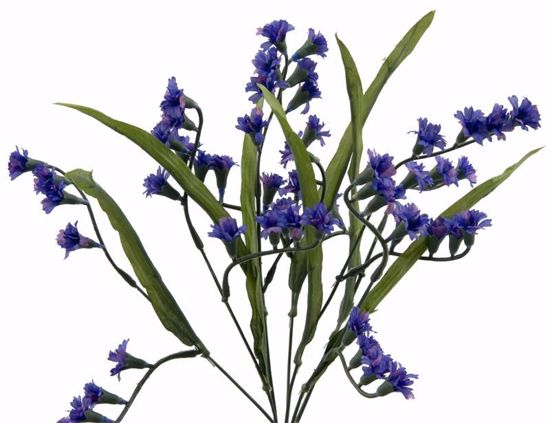 Picture of Blue Fuchsia Bush (7 Stems, 14")