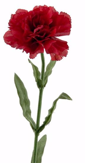 Picture of Red Single Carnation Stem (22")