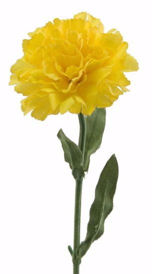 Picture of Yellow Carnation Stem (22")