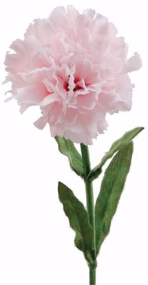 Picture of 22" Carnation Stem