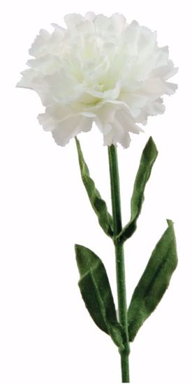 Picture of White Single Carnation Stem (22")