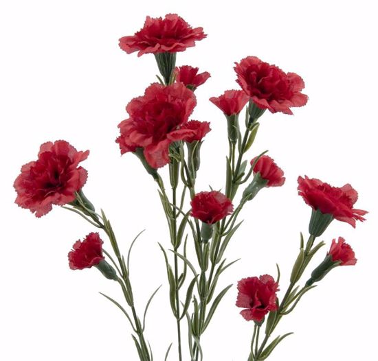 Picture of 28" Carnation Spray x 5