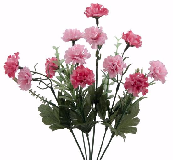 Picture of Beauty/Pink Carnation-Heather Bush (6 Stems, 13")