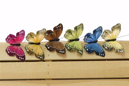 Picture of 6 Assorted Butterfly On Wire