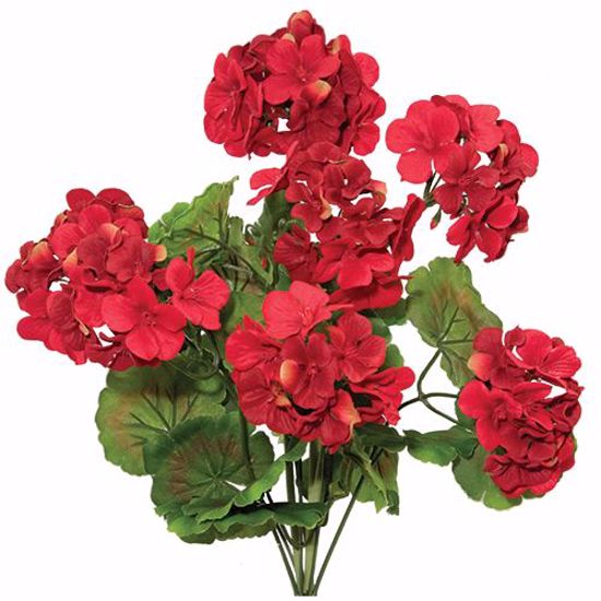 Picture of 17.5" Red Geranium Bush x 8