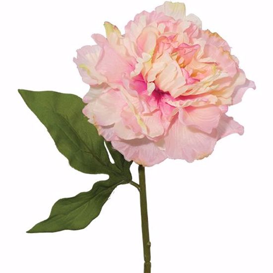 Picture of Pink Peony Stem (27")