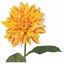 Picture of 26.5" Dahlia Stem