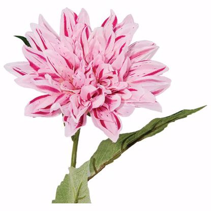 Picture of Pink Dahlia Stem  (26.5")